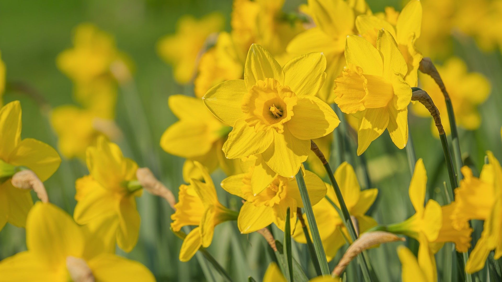 Easter services in Didcot